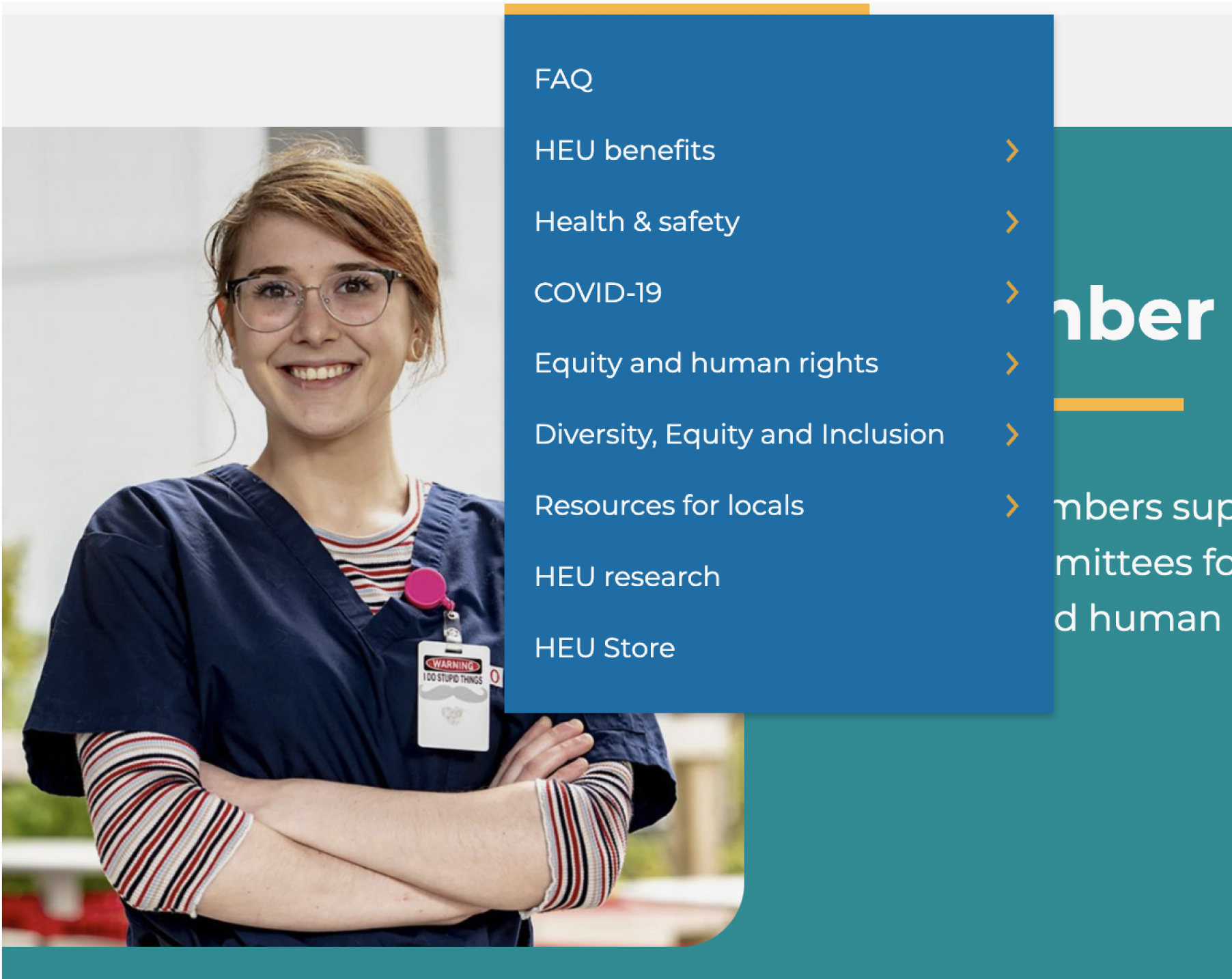 screenshot of the HEU website design elements