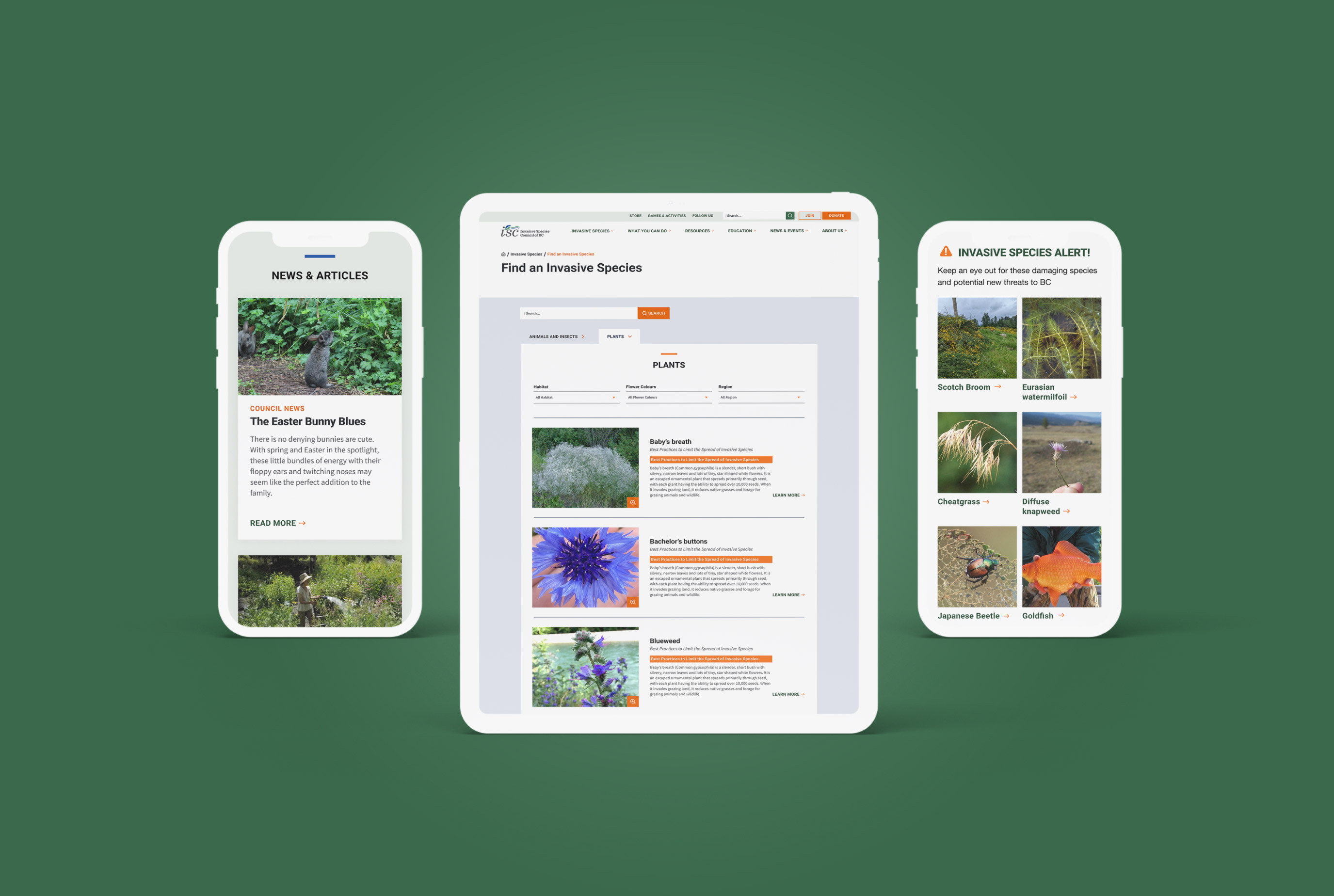 The Invasive Species Council of BC website was showcased on a tablet and mobile phone, highlighting the filters and card designs.