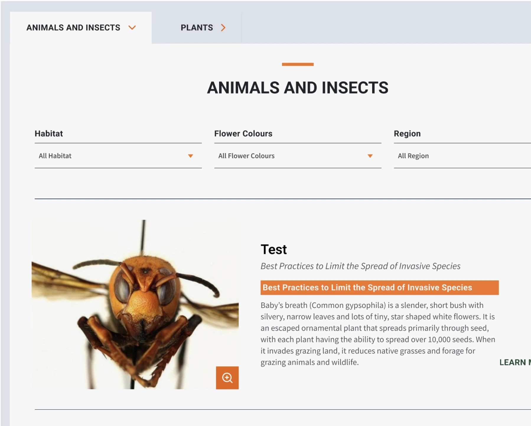 The design details of the Invasive Species Council of BC website showcase the breadcrumb navigation and some typography work.