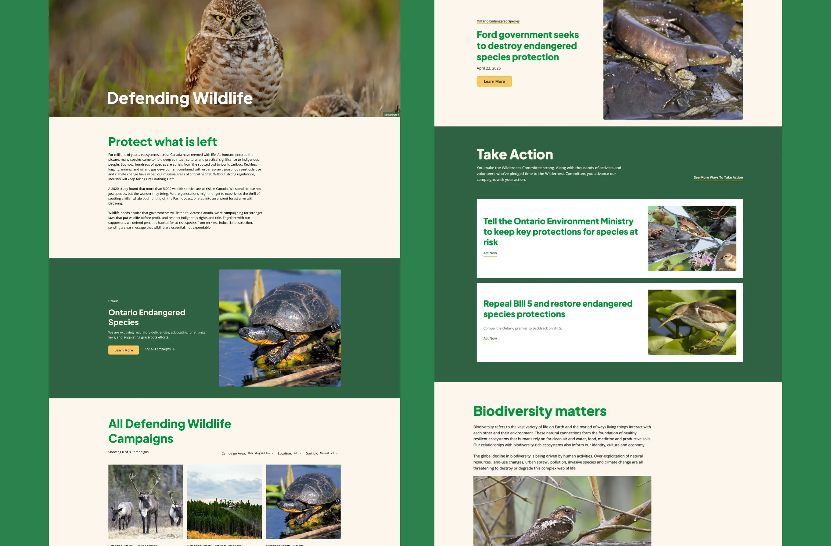 close up of new website design in two columns