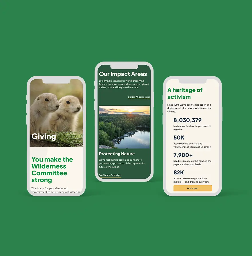 new website design mocked on 3 mobile devices each featuring different pages/ website components