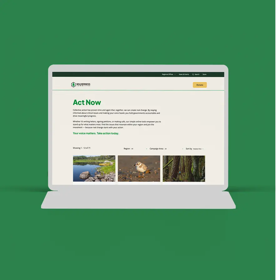 new website design displayed on a laptop mockup